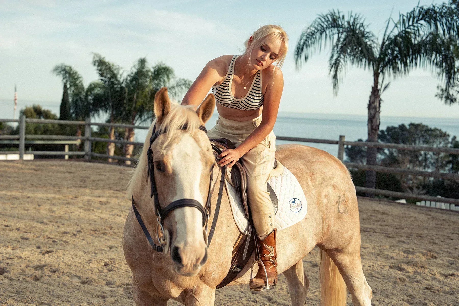 Hemp Sports Bra - Prophetik